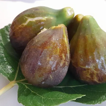 לינה וארוחת בוקר Lu Masunu