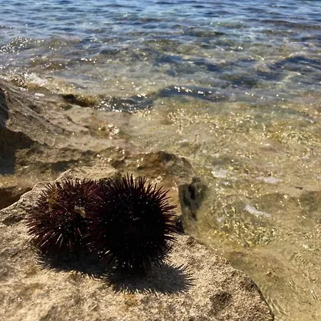 Alojamento de Acomodação e Pequeno-almoço Lu Masunu San Pietro in Bevagna